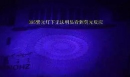 紫光灯网红爆料视频播放,揭秘网红幕后真相