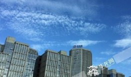 重庆今日最新爆料,揭秘城市热点事件背后的真相