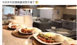 娱乐吃瓜酱淄博,揭秘淄博美食与娱乐界的秘密
