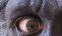 食人族电影在线观看,在线惊悚电影深度解析