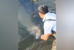 邓刚饵料爆料视频,独家爆料带你领略钓鱼高手秘籍