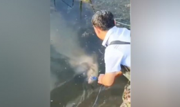 邓刚饵料爆料视频,独家爆料带你领略钓鱼高手秘籍