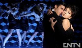 情挑在线观看,一场跨越时空的浪漫邂逅