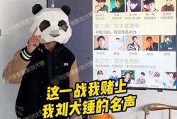 大瓜爆料大锤视频大全,大瓜爆料！大锤视频大全揭秘娱乐圈幕后真相