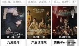 韩国跨年爆料事件视频播放,揭秘幕后真相与公众反应