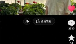 董宇辉视频爆料大全下载,揭秘背后故事与精彩瞬间