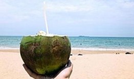 三亚的吃瓜网红是谁,瓜界新宠的美食之旅