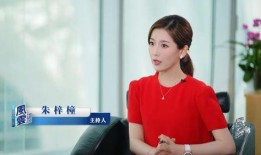 刘晶爆料录音视频大全最新,揭秘娱乐圈惊人内幕
