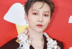 刘雨昕爆料最新动态视频,揭秘幕后故事与精彩瞬间