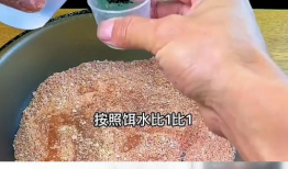 邓刚饵料爆料视频,独家爆料带你领略钓鱼高手秘籍