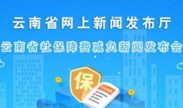 新闻爆料是免费吗,揭秘幕后真相
