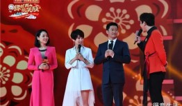 春晚明星爆料是真的吗视频,春晚明星爆料视频真实性探讨