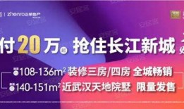 武汉热门新闻爆料视频,揭秘背后真相，聚焦城市焦点事件