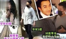 日媒爆料杨幂视频大全集,揭秘明星幕后生活