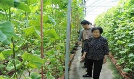 吃瓜爆料的汤姆是谁啊视频,揭秘“吃瓜爆料”视频主角汤姆的真实身份