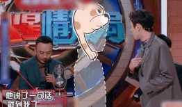 元梦情报局爆料最新,元梦情报局最新爆料，带你探秘娱乐圈幕后真相！