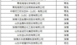 最新爆料工厂名单图片,揭秘产业布局与产业链条