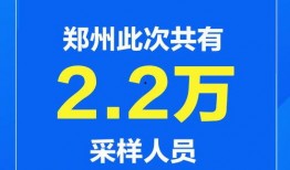 郑州爆料新闻头条,惊现神秘事件，真相令人震惊！