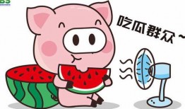 2022年娱乐吃瓜素材,揭秘明星幕后故事