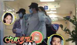 杨幂郑恺最新爆料视频,揭秘娱乐圈幕后真相