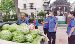 甘肃回民网红吃瓜,揭秘当地特色美食背后的故事