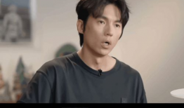 宋宁峰经纪人爆料视频,独家爆料视频背后的故事