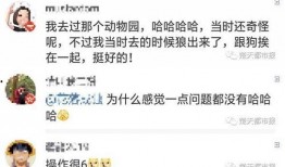 真实日常爆料视频大全集,真实爆料视频大全集精彩瞬间回顾