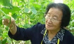 吃瓜爆料的汤姆是谁啊视频,揭秘“吃瓜爆料”视频主角汤姆的真实身份