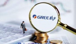 格力内部爆料图片最新款,颠覆性设计，引领行业新潮流”