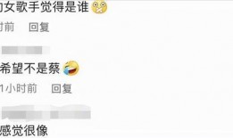 娱记爆料歌手是谁啊视频,歌手身份大曝光，视频揭秘幕后真相