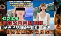 挽星宝贝爆料视频完整版,完整版内容深度解析