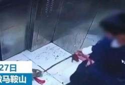 小男孩被爆料怎么办视频,真相与舆论的漩涡