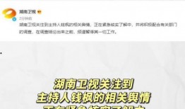 吃瓜系统娱乐,吃瓜系统带你领略明星幕后故事