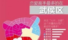 今日成都爆料新闻最新,揭秘神秘事件背后的真相