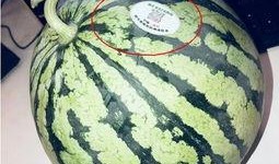 推特吃瓜网红叫什么来着,揭秘网络红人的神秘面纱”