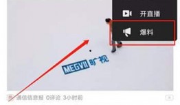 往期视频爆料怎么找回的