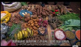 盘点爆料食物视频大全集,一场视觉与味蕾的盛宴