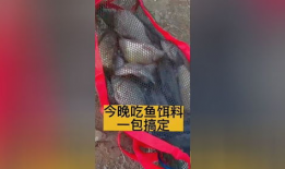 邓刚饵料爆料视频,独家爆料带你领略钓鱼高手秘籍