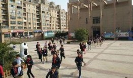 开封小学爆料事件最新,真相揭开，家长学生共同关注