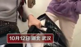 女生日常爆料视频下载,短视频中的生活点滴