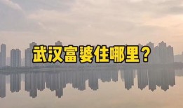 武汉买房最新爆料,最新爆料揭示购房新趋势