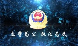 科技熊猫爆料视频下载,视频下载技术革新揭秘