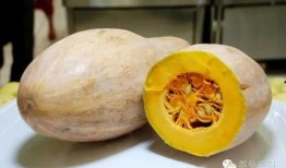 甘肃回民网红吃瓜,揭秘当地特色美食背后的故事