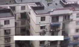 温江网友爆料视频,视频揭露惊人一幕
