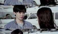 寒武纪在线观看7,7大在线观看必看科普纪录片