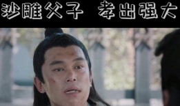 赘婿笑点爆料视频