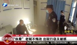 河南都市爆料最新酷狗,酷狗音乐新功能引发热议，创新体验引领潮流