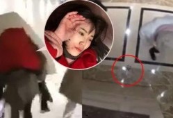 爆料马蓉的人怎么样了视频,揭秘背后真相与影响