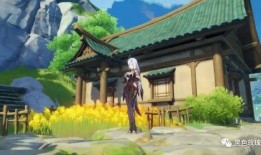 申鹤最新爆料,神秘事件背后的惊人真相