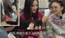 李小璐父母爆料视频播放,揭秘家庭背后真相